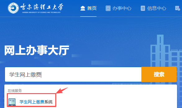 网上办事大厅缴费系统入口